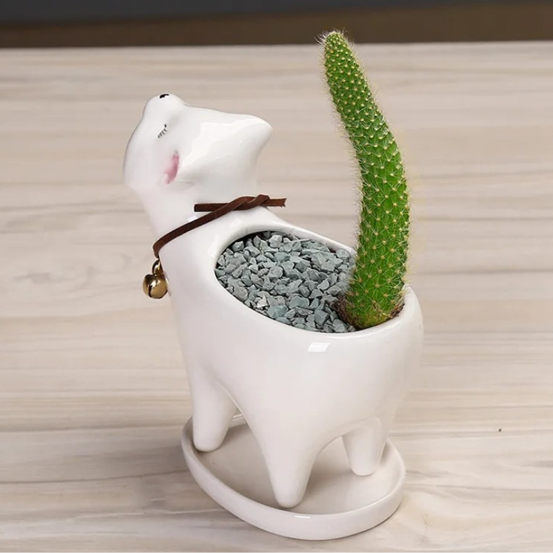 Kitty Sprout Plant Holders