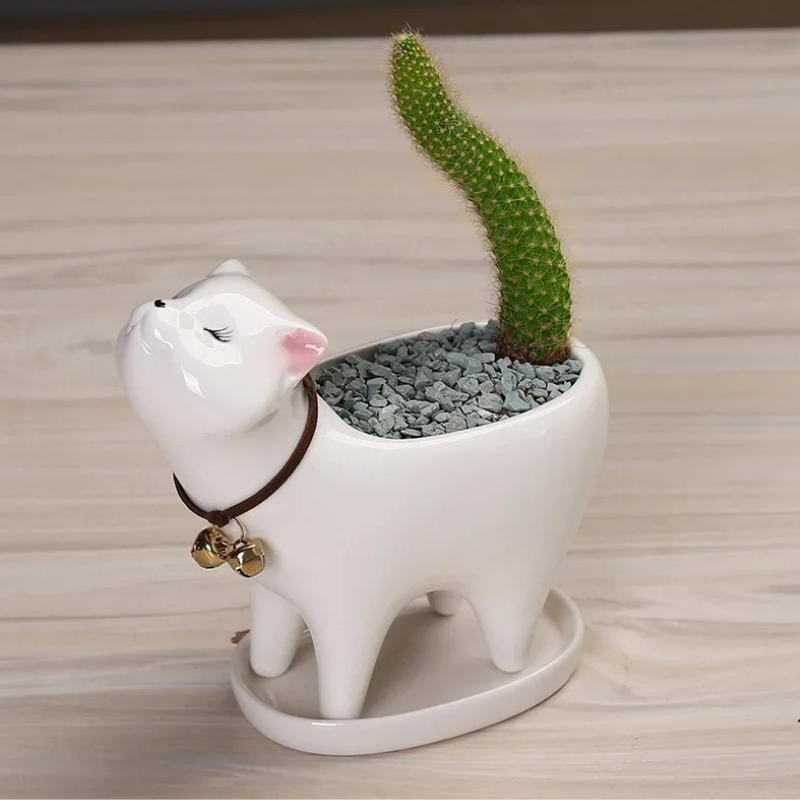 Kitty Sprout Plant Holders