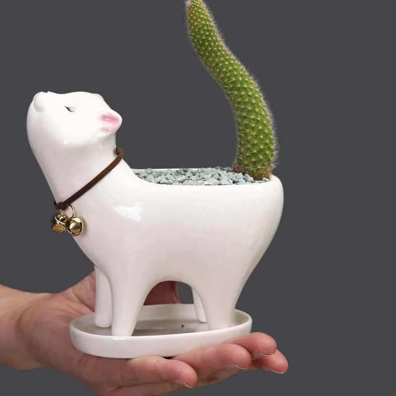 Kitty Sprout Plant Holders